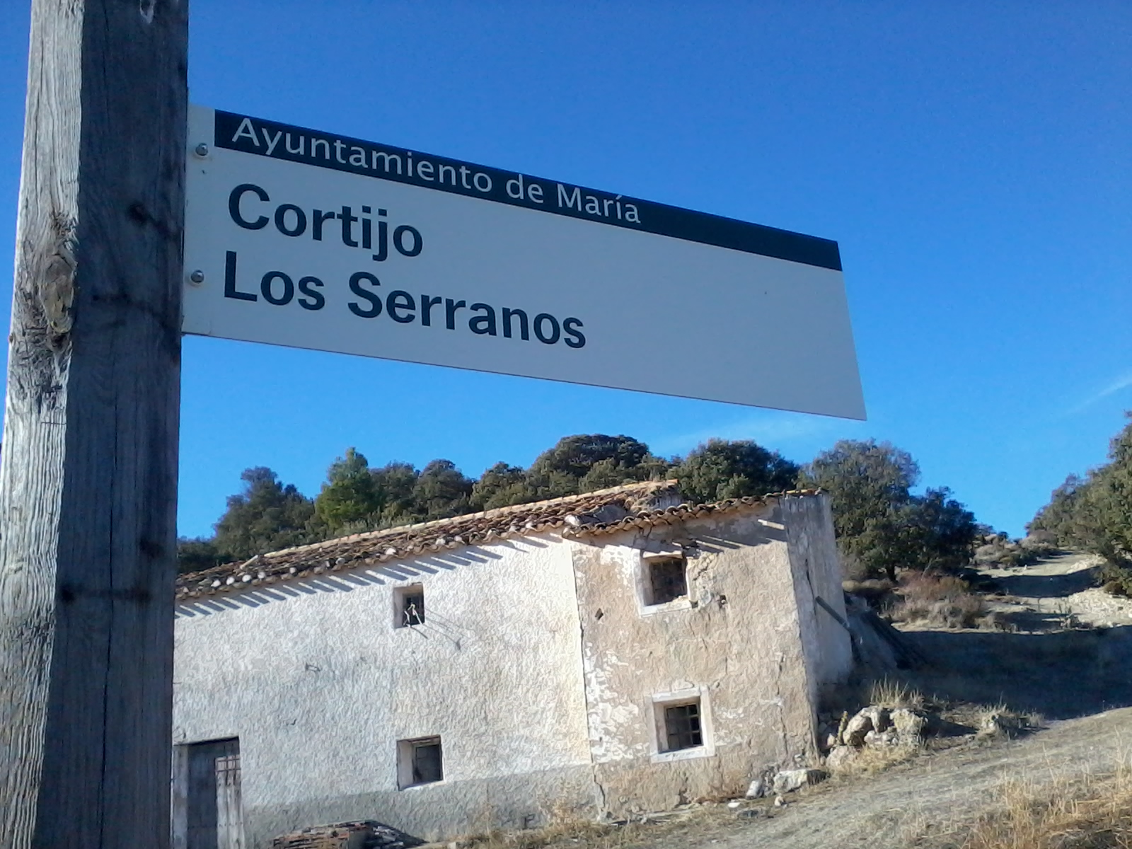 Ver imagen